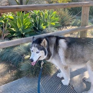 Meet your Posher, Tomoko